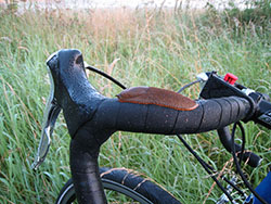 L'invasion des limaces : jusque sur le vélo, beurk !